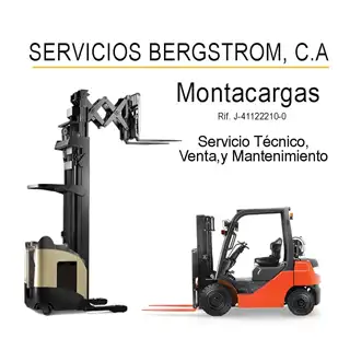 Logo de Servicios Bergstrom