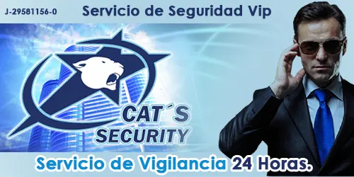Imagen 2 del perfil de Cat's Security