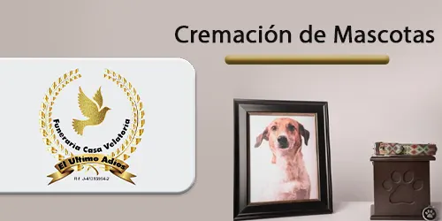 Imagen 3 del perfil de Cremaciones y Servicio de Funeraria el Último Adiós