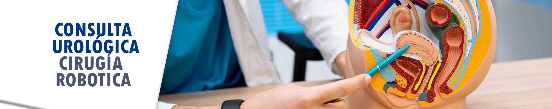 Imagen 2 del perfil de Dr. Carlos Piñero