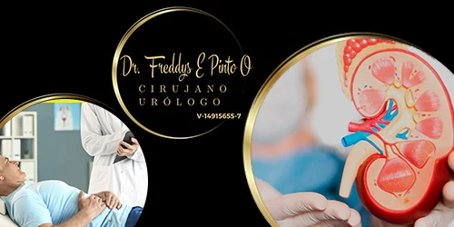 Imagen 1 del perfil de Dr. Freddys Pinto