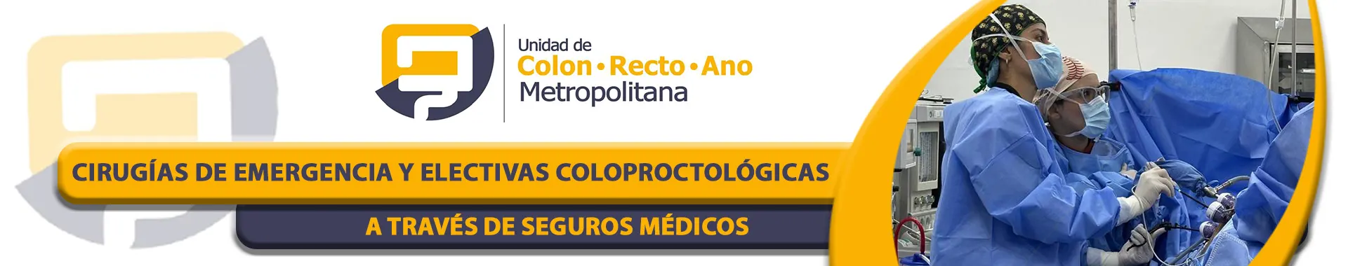 Imagen 5 del perfil de Dra. Sthephfania López