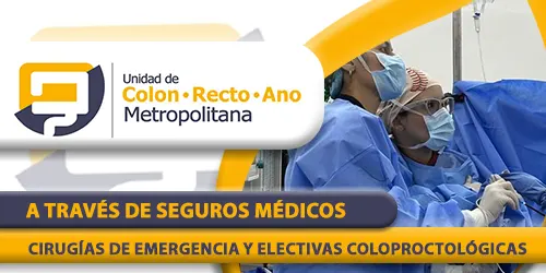 Imagen 5 del perfil de Dra. Sthephfania López