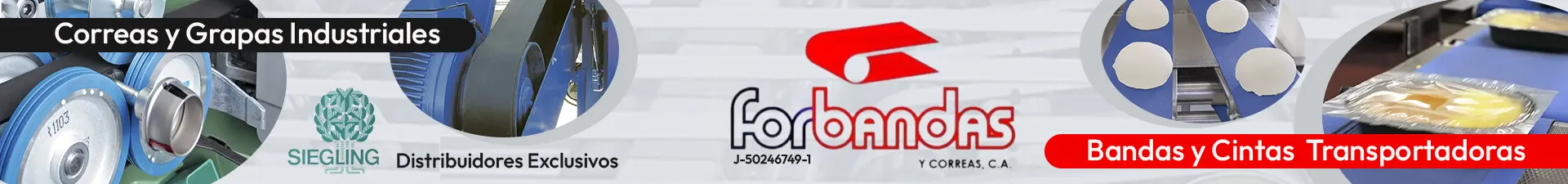 Imagen 1 del perfil de Forbandas