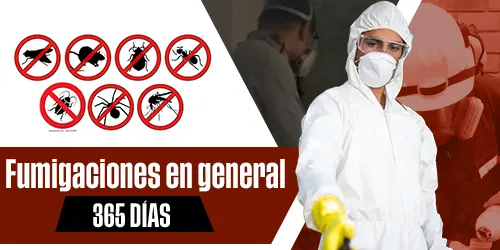 Imagen 2 del perfil de Fumigaciones Fullmi Rapit