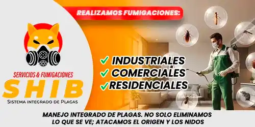 Imagen 2 del perfil de Fumigaciones SHIB