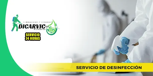 Imagen 2 del perfil de Fumigaciones y Servicios Dicarvic