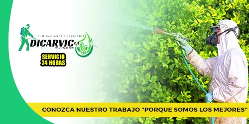 Imagen 3 del perfil de Fumigaciones y Servicios Dicarvic
