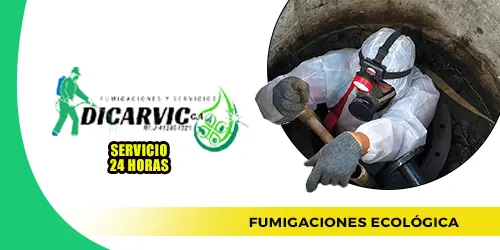 Imagen 4 del perfil de Fumigaciones y Servicios Dicarvic