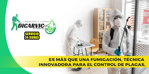 Imagen 5 del perfil de Fumigaciones y Servicios Dicarvic