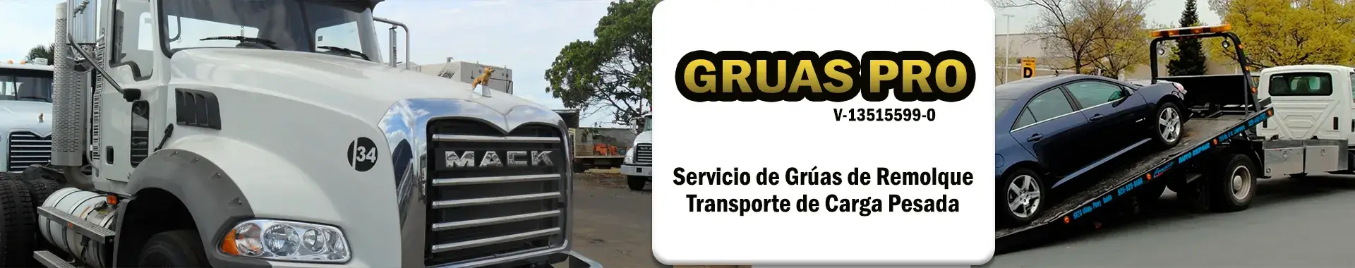 Imagen 1 del perfil de Grúas Pro