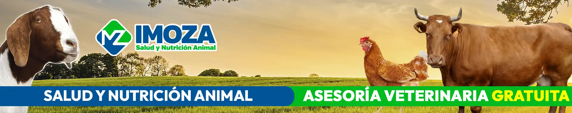 Imagen 2 del perfil de Imoza