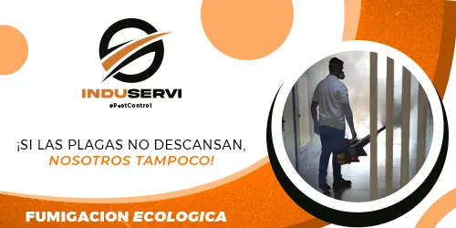 Imagen 4 del perfil de Induservi