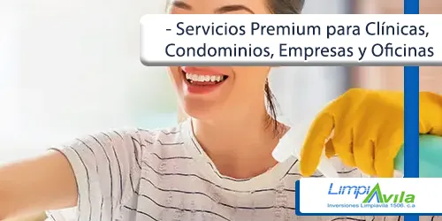 Imagen 5 del perfil de Inversiones Limpiavila 1506 CA