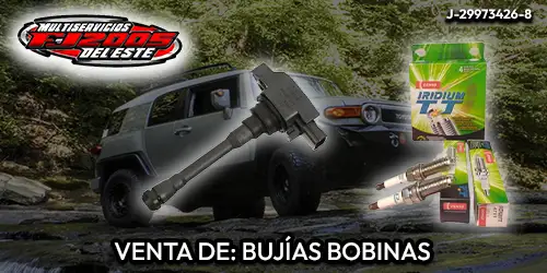 Imagen 3 del perfil de Multiservicios FJ 2005 del Este