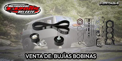 Imagen 4 del perfil de Multiservicios FJ 2005 del Este