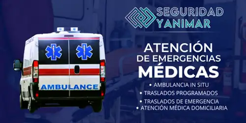 Imagen 5 del perfil de Seguridad Yanimar