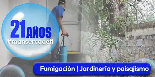 Imagen 4 del perfil de Servicios y Mantenimientos Manserca