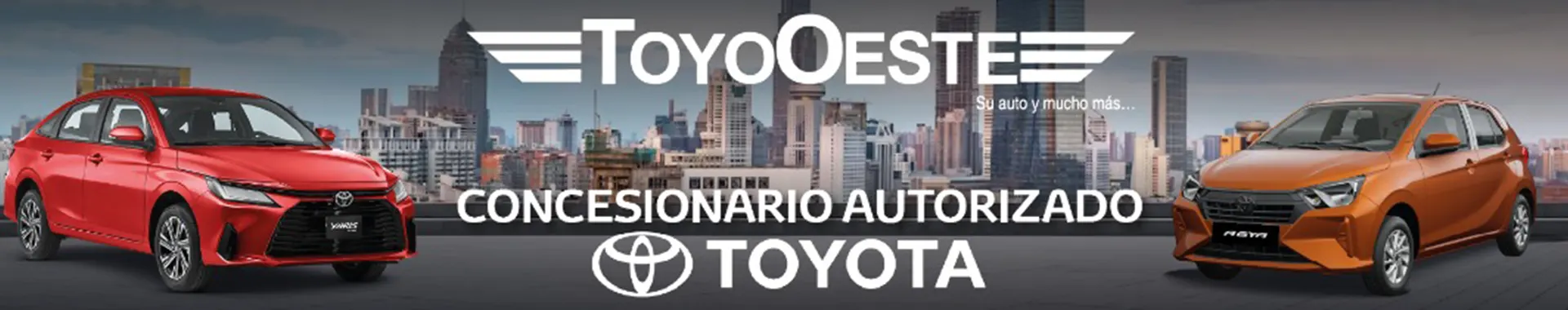 Imagen 2 del perfil de Toyo Oeste