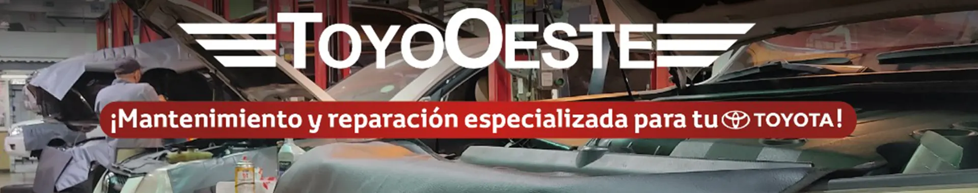 Imagen 5 del perfil de Toyo Oeste