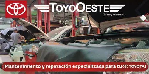 Imagen 5 del perfil de Toyo Oeste