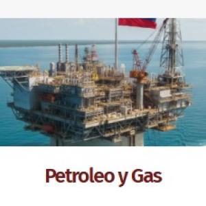 Asesorías Petróleo y Gas
