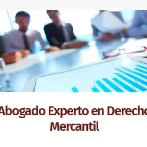 Asesoría y Consultoría Mercantil