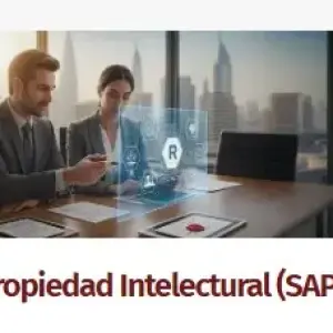 Propiedad Intelectual (SAPI)