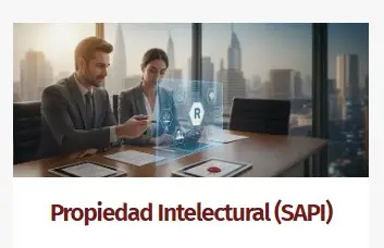 Propiedad intelectual (sapi)