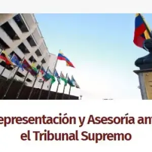 Representación y Asesoría ante el Tribunal Supremo