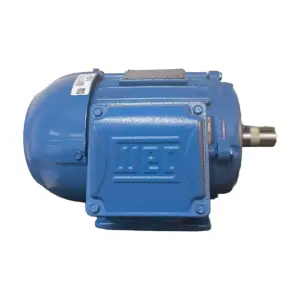 Motor WEG TRIFÁSICO