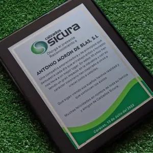 Placas de Reconocimiento