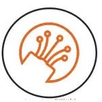 Sistemas de Fibra Óptica