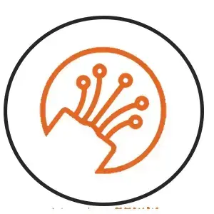 Sistemas de Fibra Óptica