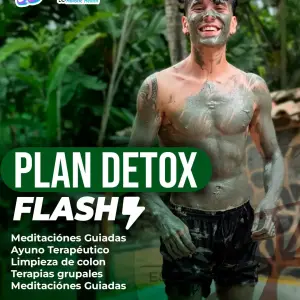 Plan Detox Flash