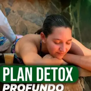 Plan Detox Profundo