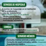 Plan Detox Renovador