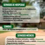 Plan Detox Transformador