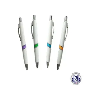 Boligrafo  Plastico Platinium 2