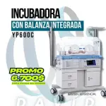 Incubadora David YP600C