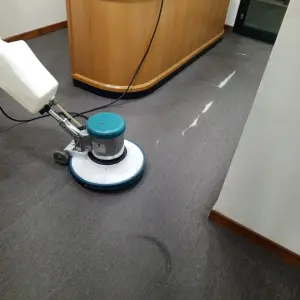 Desmanchado de Alfombras