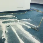 Limpieza y Mantenimiento de Alfombras