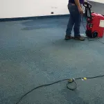 Limpieza y Mantenimiento de Alfombras