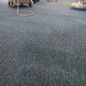 Limpieza y Mantenimiento de Alfombras