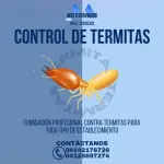 Control de Termitas