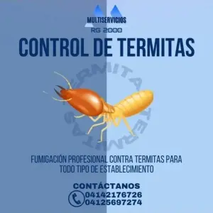 Control de Termitas