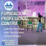 Fumigación Profesional