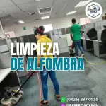 Limpieza de Alfombas