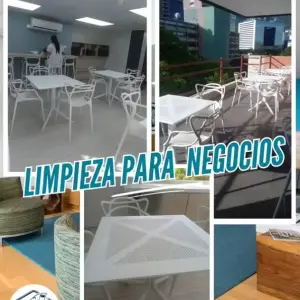 Limpieza de Negocios