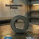 Rodamiento Polea
